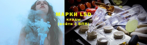 индика Абинск
