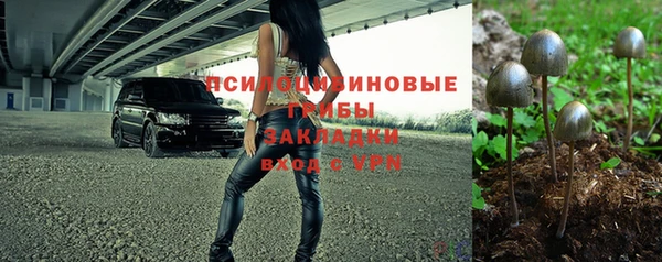 твердый Абаза