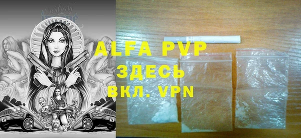 твердый Абаза